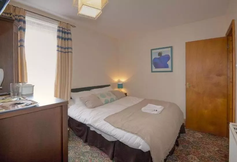 هاستل The George