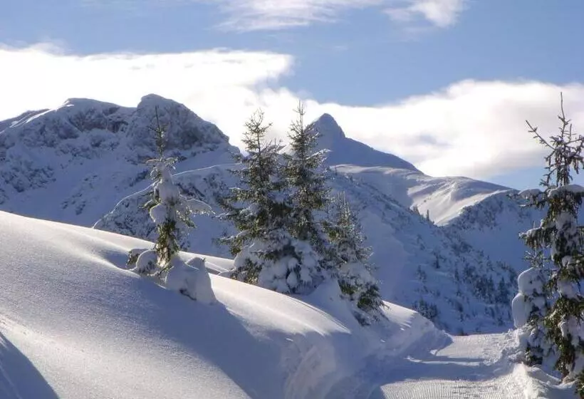 Apart & Pension Wassermann Inklusive Sommerbergbahnticket