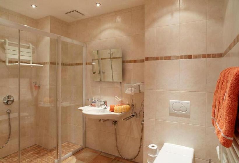 Apart & Pension Wassermann Inklusive Sommerbergbahnticket