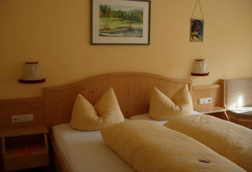 Apart & Pension Wassermann Inklusive Sommerbergbahnticket