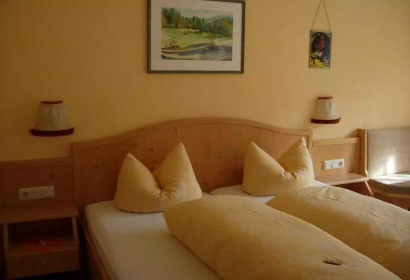 Apart & Pension Wassermann Inklusive Sommerbergbahnticket