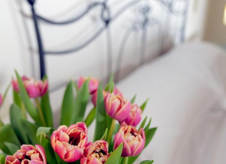 La Corte Dei Sogni B&b