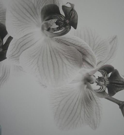 Отель Azienda Agrituristica Calronche