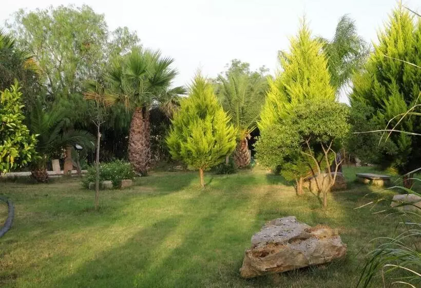 هتل Casa Colonica Liliane B&b