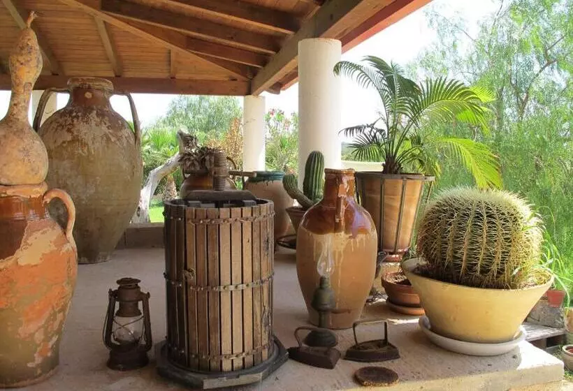 هتل Casa Colonica Liliane B&b