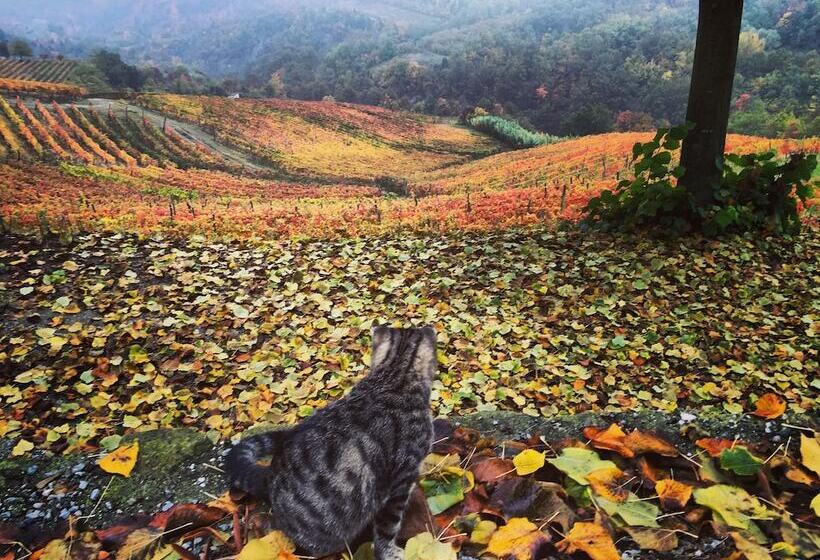 בית מלון כפרי Cascina Bertolotto Wine Resort