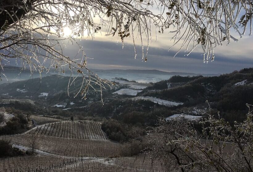 בית מלון כפרי Cascina Bertolotto Wine Resort