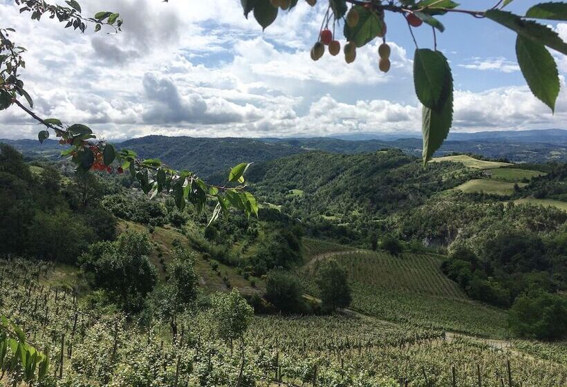 בית מלון כפרי Cascina Bertolotto Wine Resort