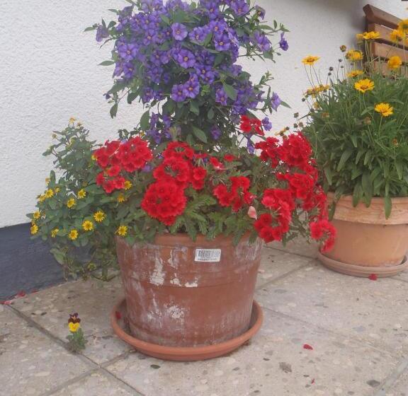 호텔 Russbachbauer