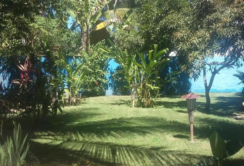 بنسيون Casa Da Arvore Apartamentos Pousada