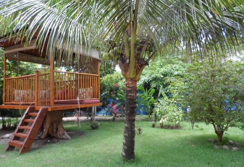 بنسيون Casa Da Arvore Apartamentos Pousada