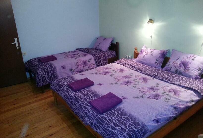 پانسیون Guest House Drakite