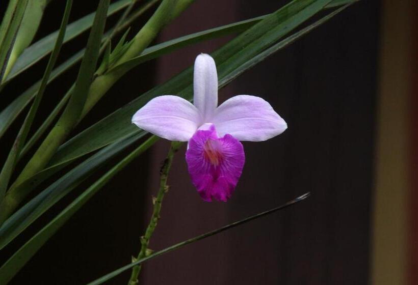 پانسیون Pousada Recanto