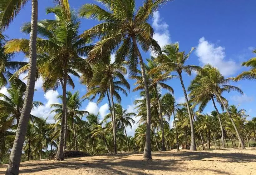 ペンション Refúgio Do Corsário Imbassai Ba