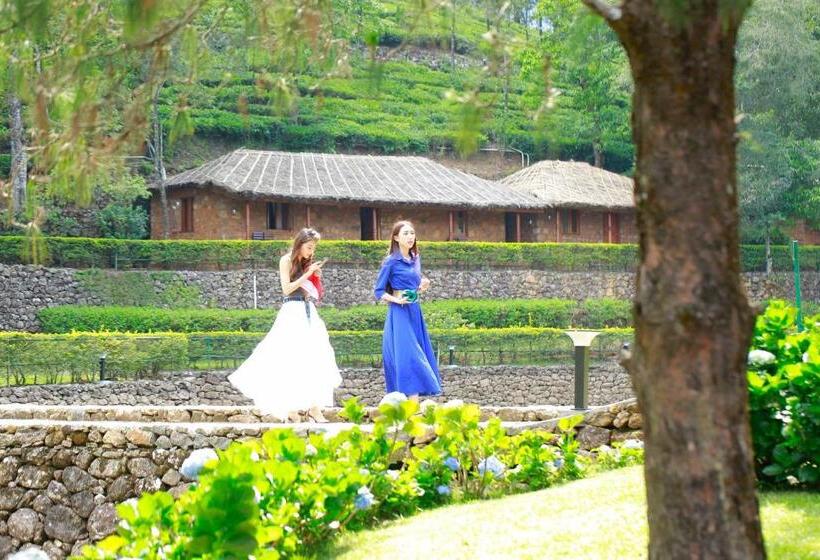 منتجع Saj Vagamon Hideout