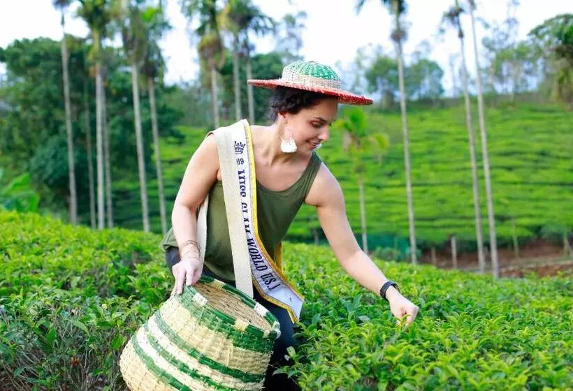 リゾートホテル Saj Vagamon Hideout