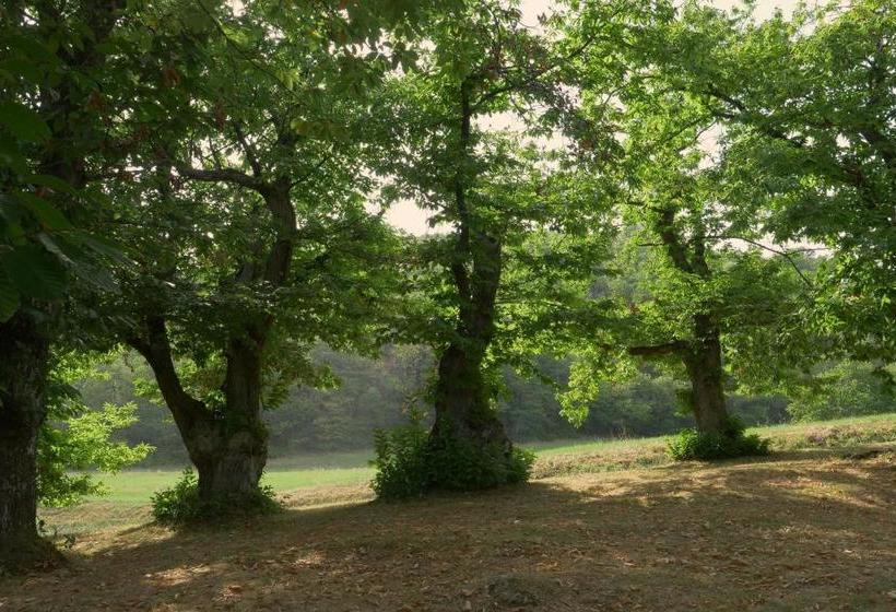 호텔 La Piana Dei Castagni