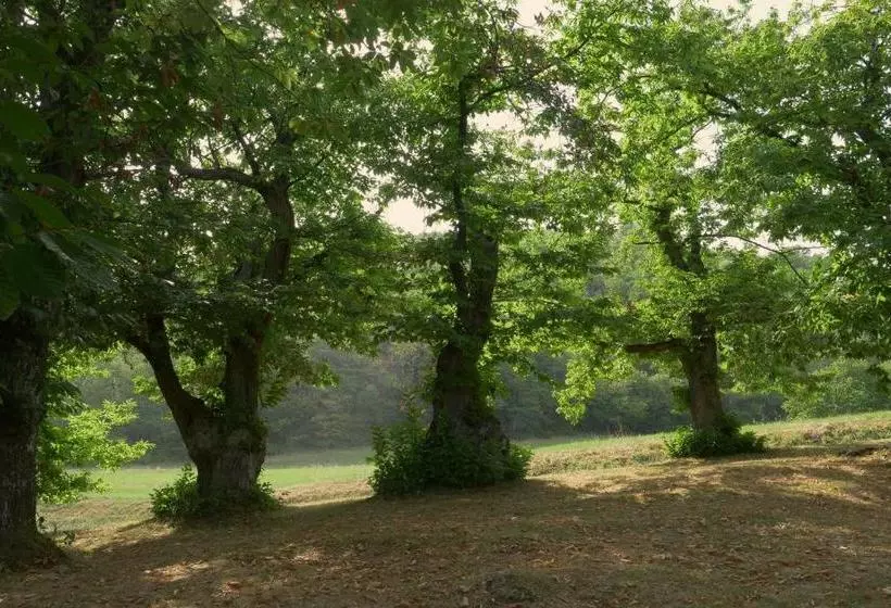 Hotelli La Piana Dei Castagni