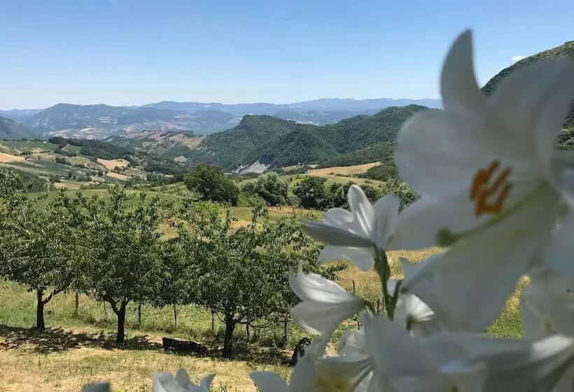 Hotelli La Piana Dei Castagni