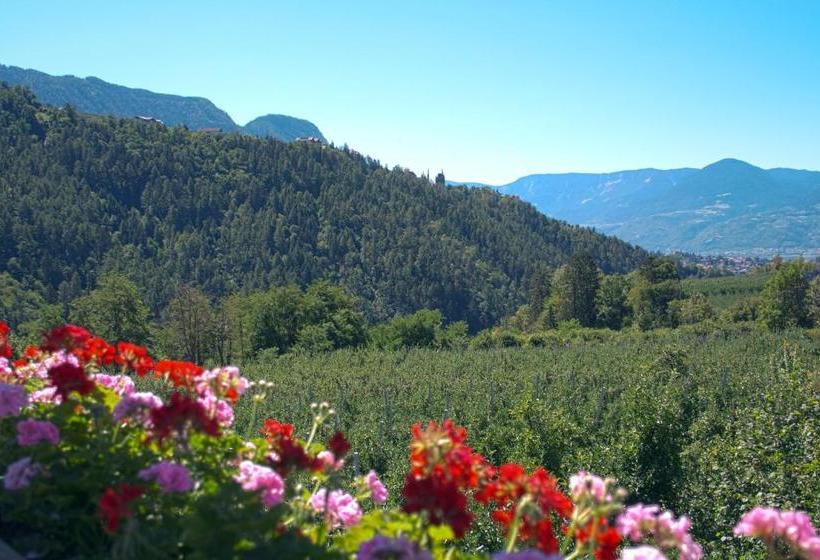 Отель Pension Thalerhof