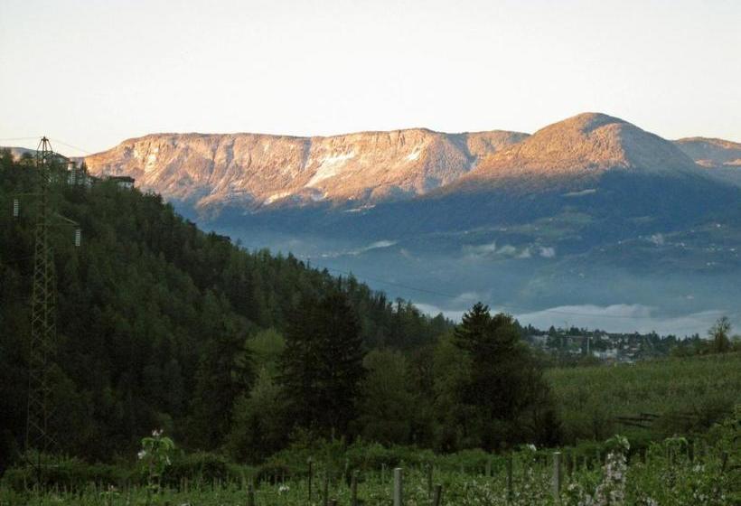 Отель Pension Thalerhof