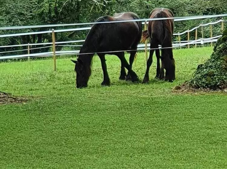 Majatalo Le Roulottes Du Petit Gouffre De Padirac Avec Spa