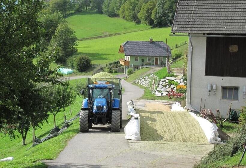 بنسيون Turnerhof