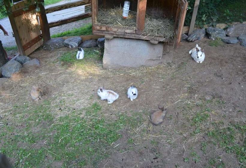 بنسيون Turnerhof