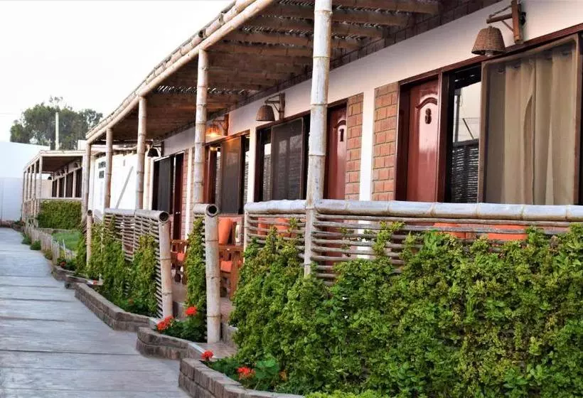 هاستل Zarcillo Paradise