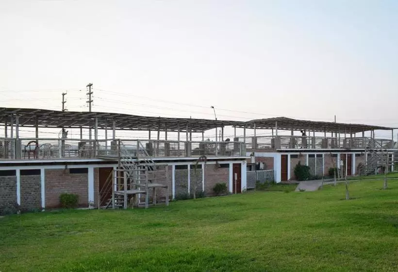 هاستل Zarcillo Paradise