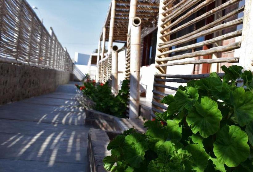 ユースホステル Zarcillo Paradise