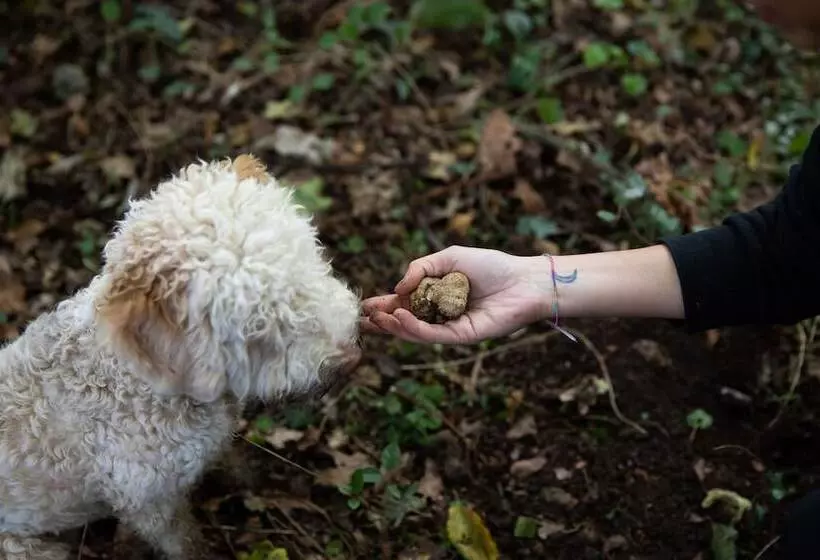 ホテル Cà Del Re