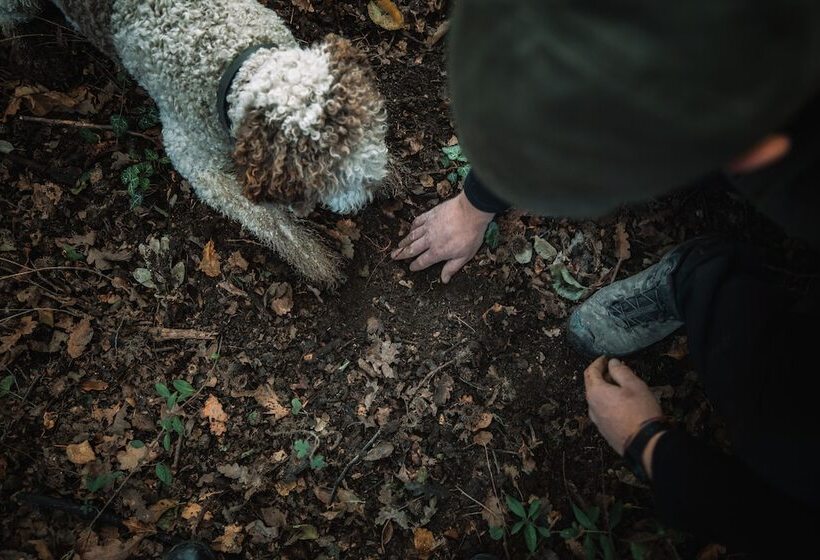 Отель Cà Del Re