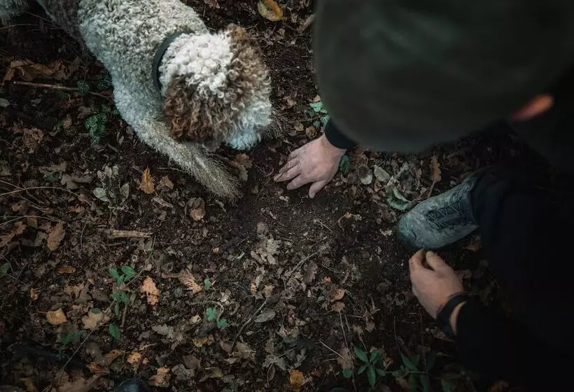 ホテル Cà Del Re