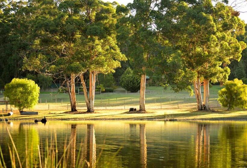 ホテル Diamond Forest Farm Stay