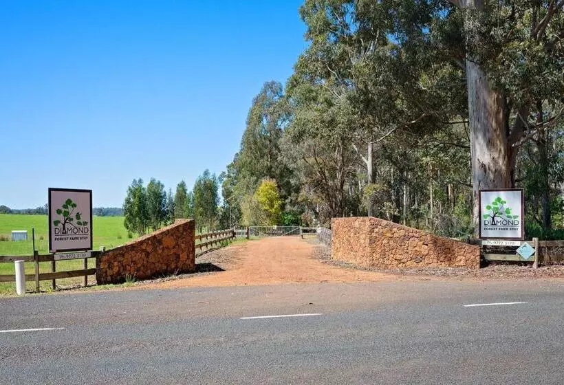 ホテル Diamond Forest Farm Stay