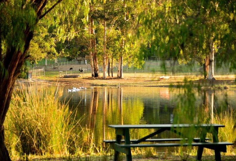 ホテル Diamond Forest Farm Stay