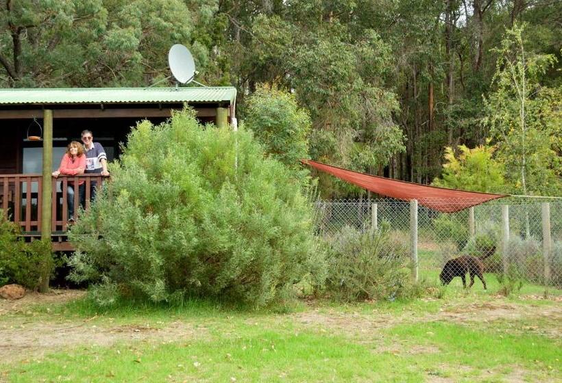 ホテル Diamond Forest Farm Stay