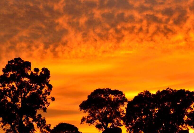 ホテル Diamond Forest Farm Stay