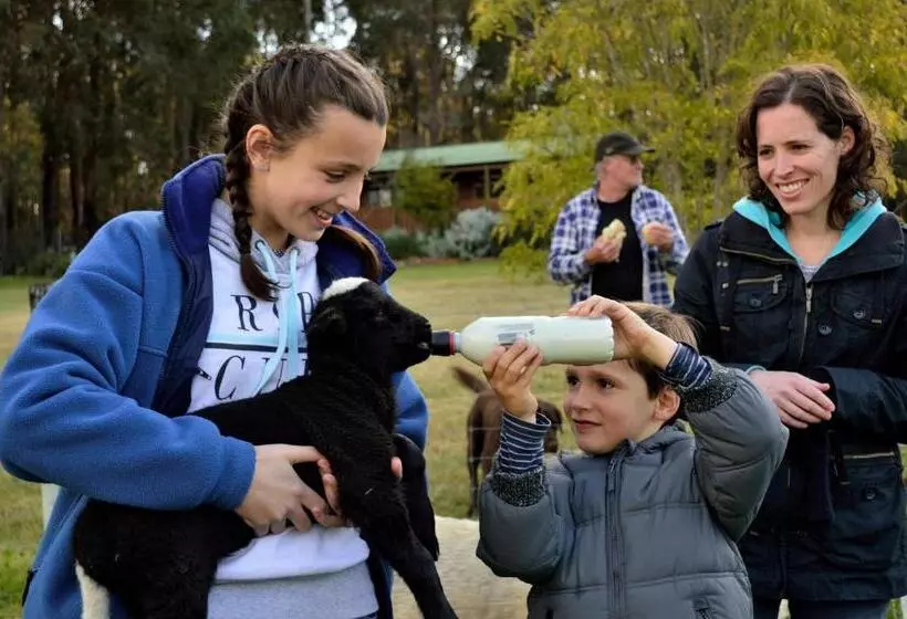 ホテル Diamond Forest Farm Stay