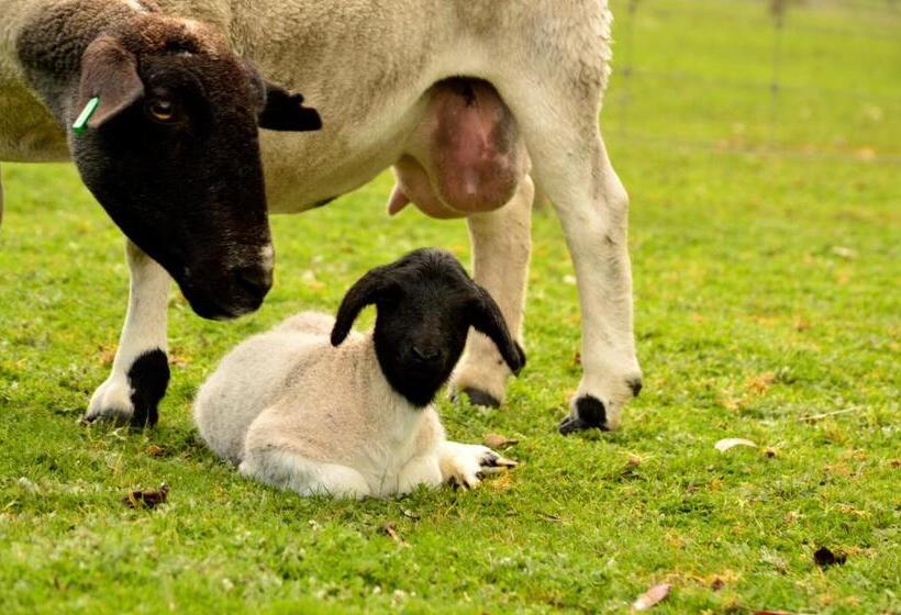 ホテル Diamond Forest Farm Stay