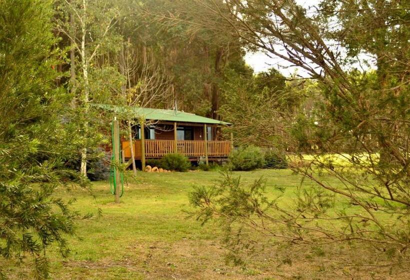 ホテル Diamond Forest Farm Stay