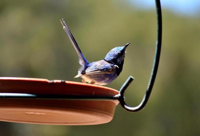 ホテル Diamond Forest Farm Stay