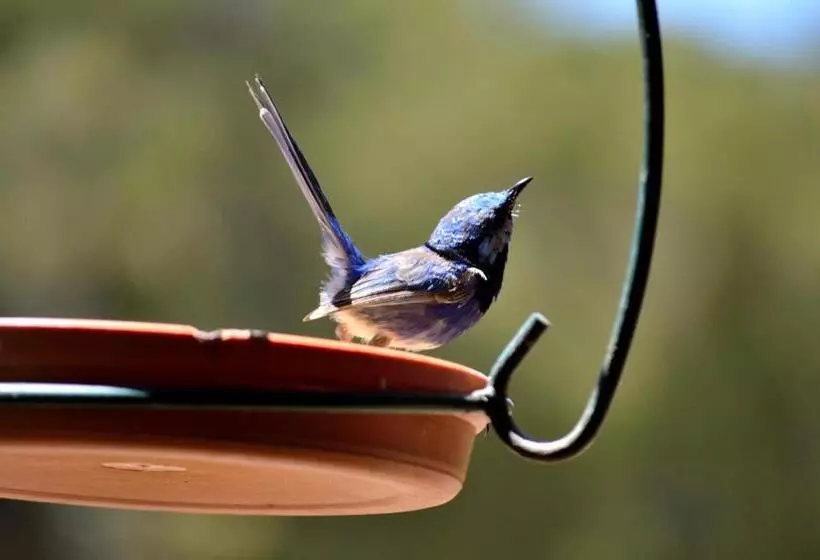 ホテル Diamond Forest Farm Stay