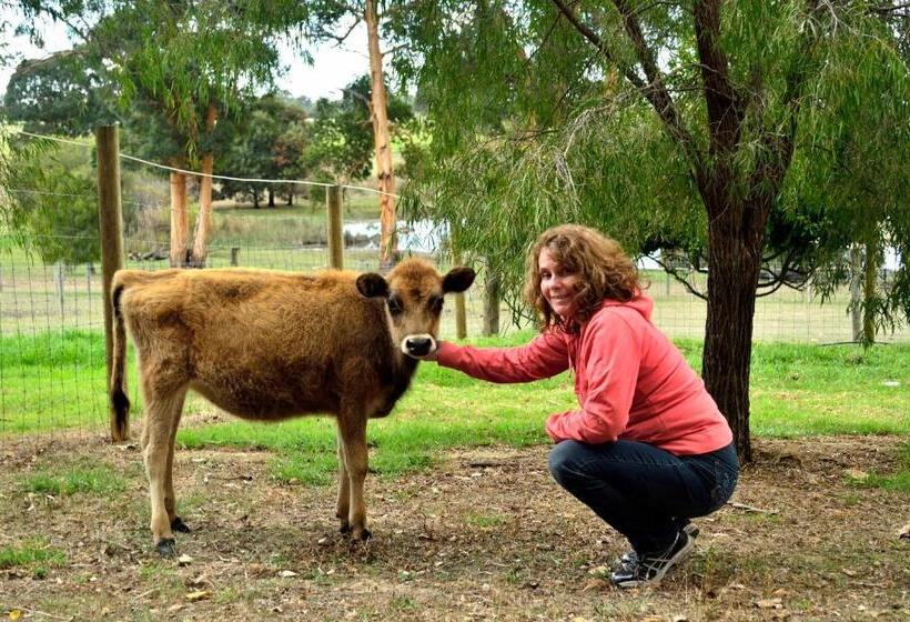 酒店 Diamond Forest Farm Stay