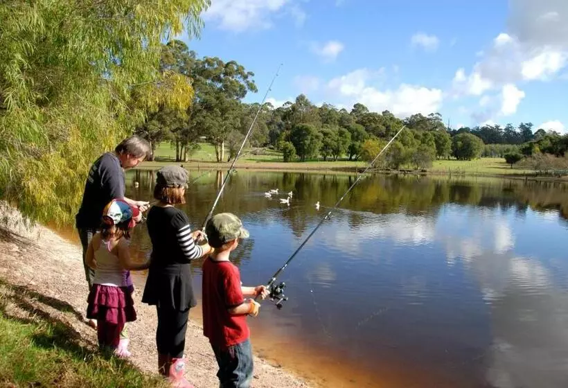 ホテル Diamond Forest Farm Stay