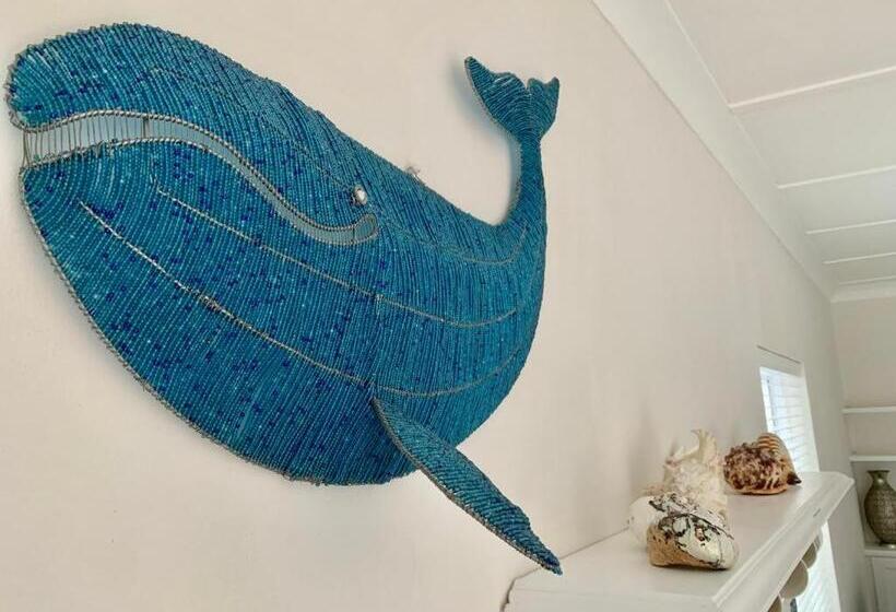 פנסיון Anchor's Rest