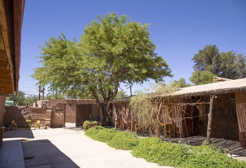 بنسيون Casa Lickana B&b