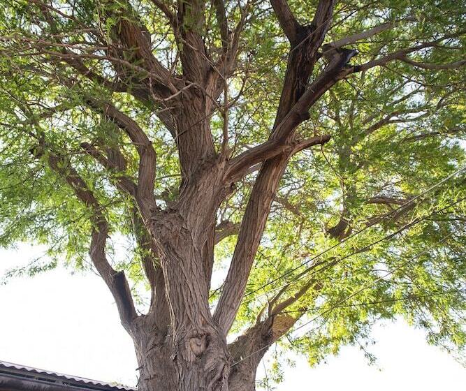 بنسيون Casa Lickana B&b