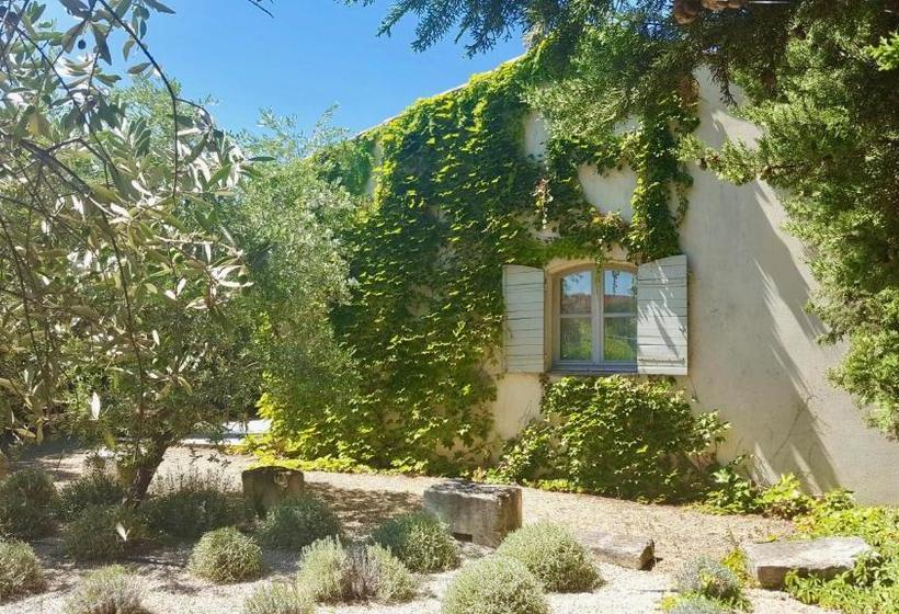 بنسيون La Maison De Line